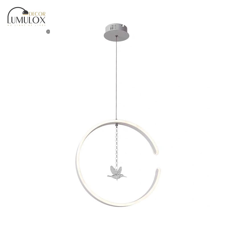 Acrylic Ring Pendant Lamp – Minimalist LED Hanging Light in White or Black