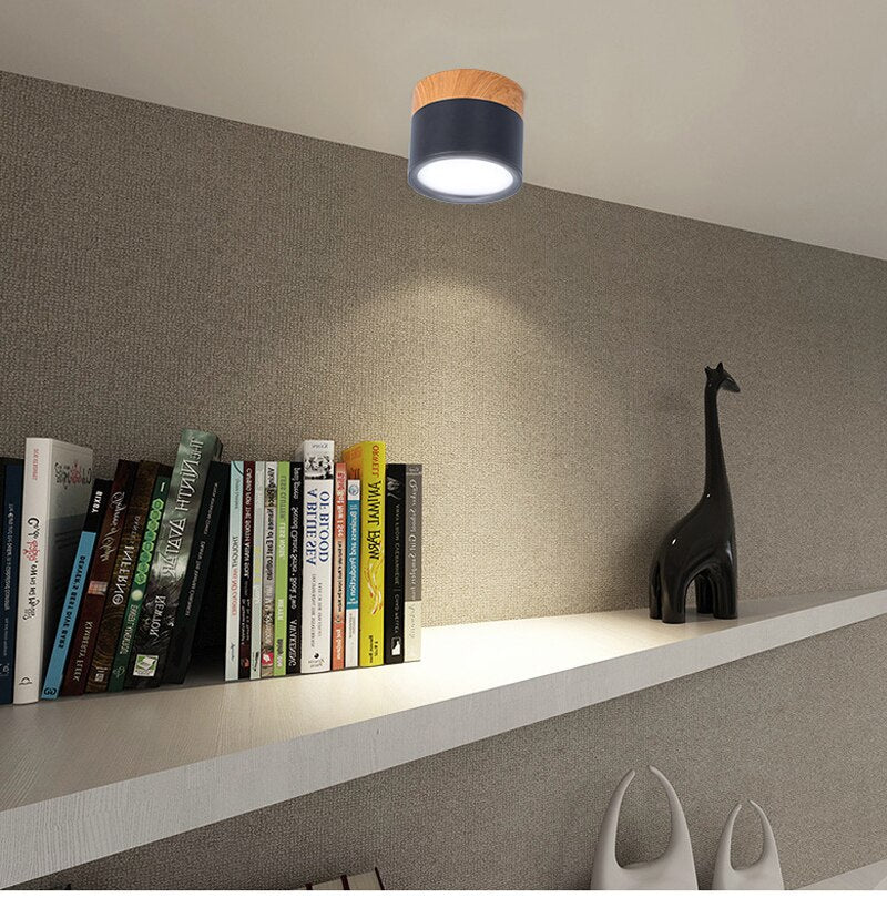 LED Ceiling Lights For Bedroom Surface Mounted Modern Ceiling Lamp Living Room Bedroom Porch Modern House Lighting Fixture