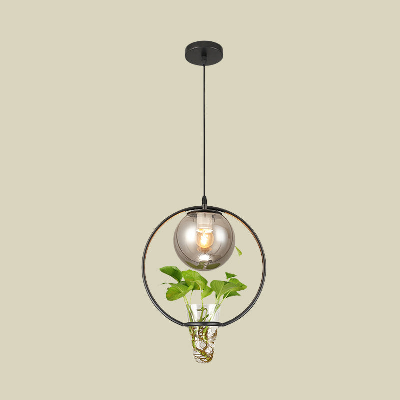 Plafonnier en verre gris fumé pour restaurants et entrepôts avec accents noirs/gris/dorés et anneau en fer