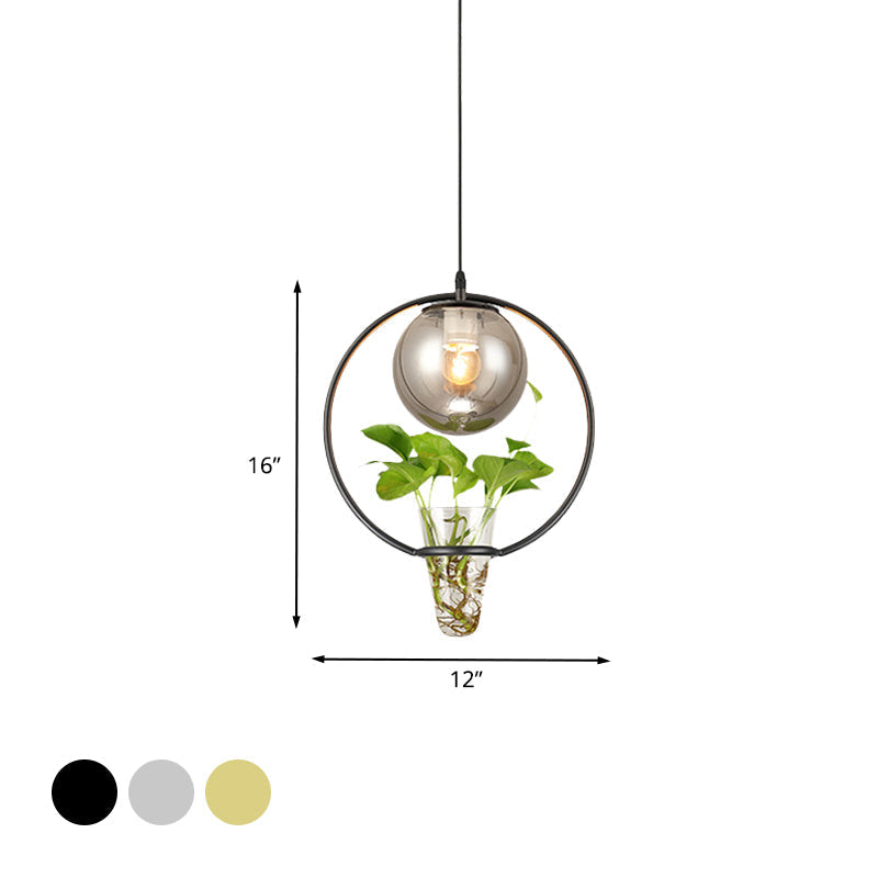 Plafonnier en verre gris fumé pour restaurants et entrepôts avec accents noirs/gris/dorés et anneau en fer