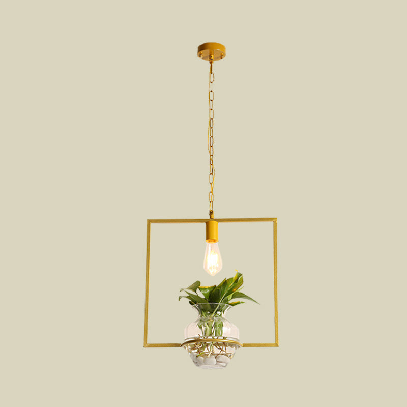 Suspension Vintage Dorée avec 1 Ampoule et Plante en Pot pour Salon