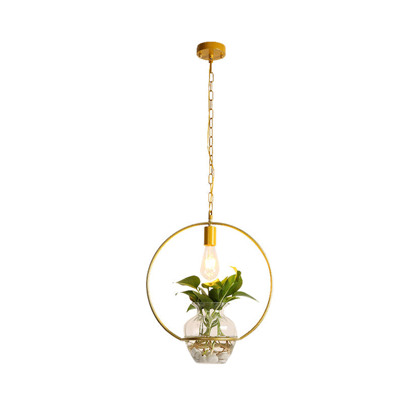 Suspension Vintage Dorée avec 1 Ampoule et Plante en Pot pour Salon