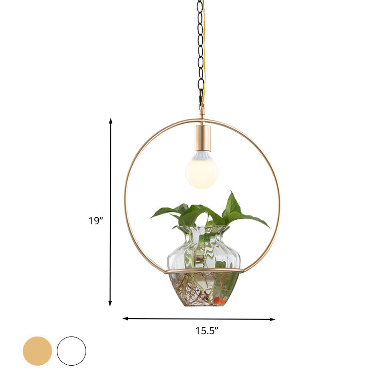 Metal Ceiling Light - Antique White/Gold Round LED Pendant with Plant Can Decoration