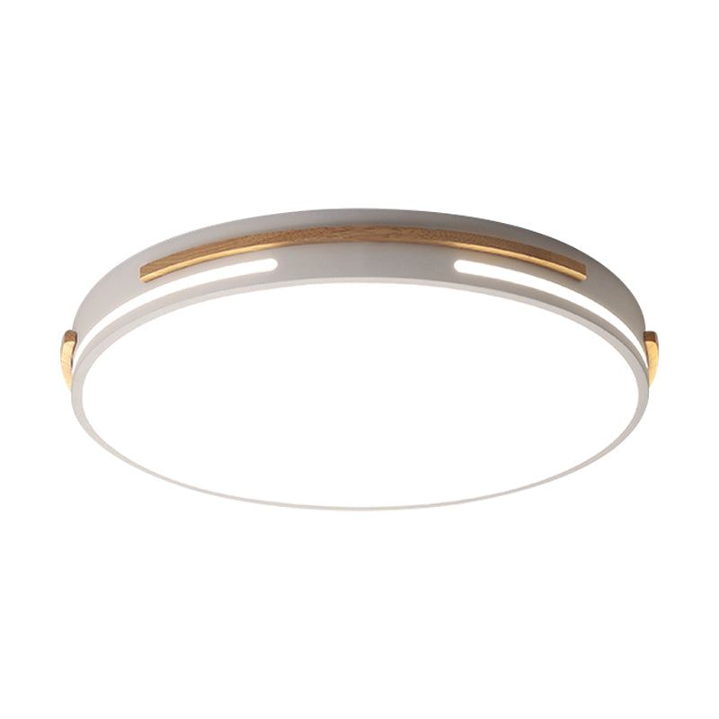 Simplicity LED Acrylic Flush Mount Light Fixture for Living Room - White/Green, Round Design