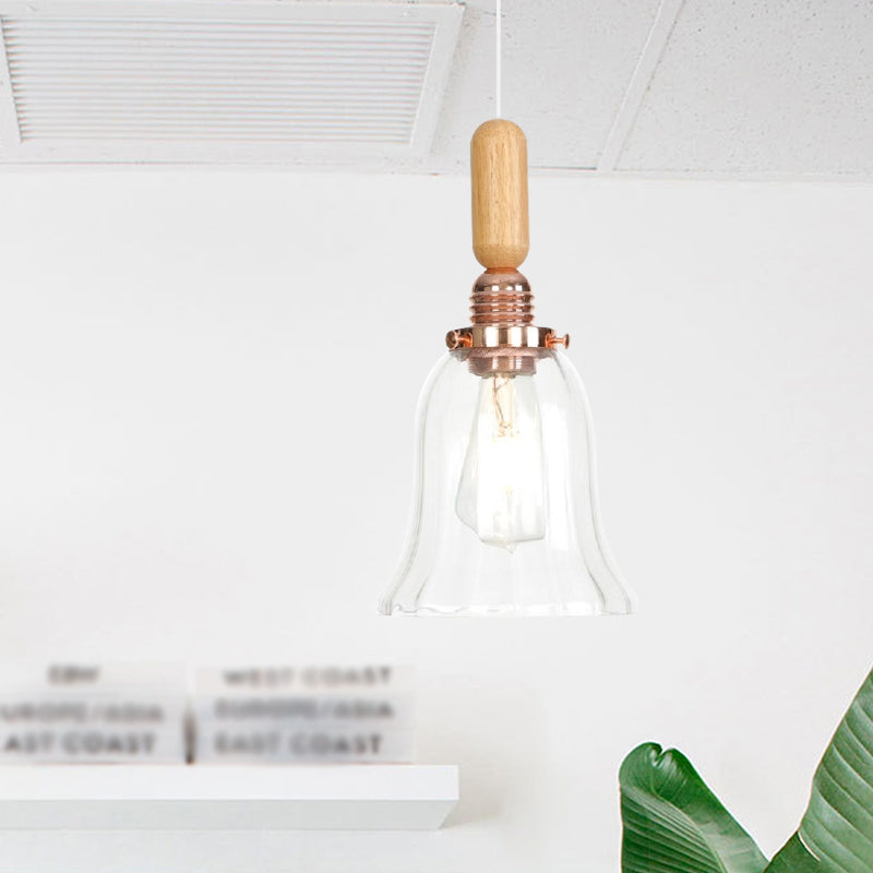Copper Indoor Pendant Light Kit - Vintage Clear Glass Globe/Cone/Dome Design
