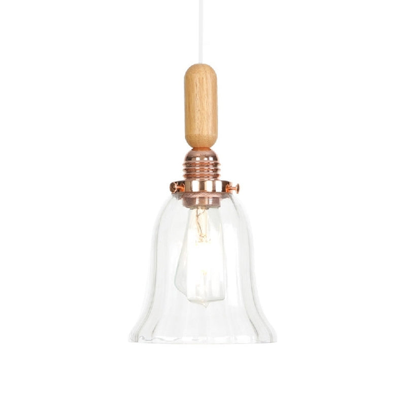 Copper Indoor Pendant Light Kit - Vintage Clear Glass Globe/Cone/Dome Design