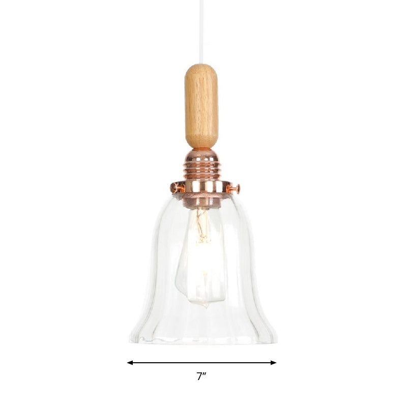 Copper Indoor Pendant Light Kit - Vintage Clear Glass Globe/Cone/Dome Design