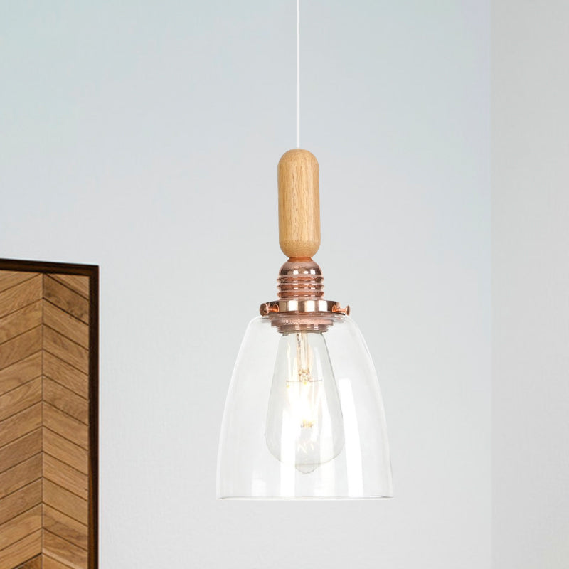 Copper Indoor Pendant Light Kit - Vintage Clear Glass Globe/Cone/Dome Design