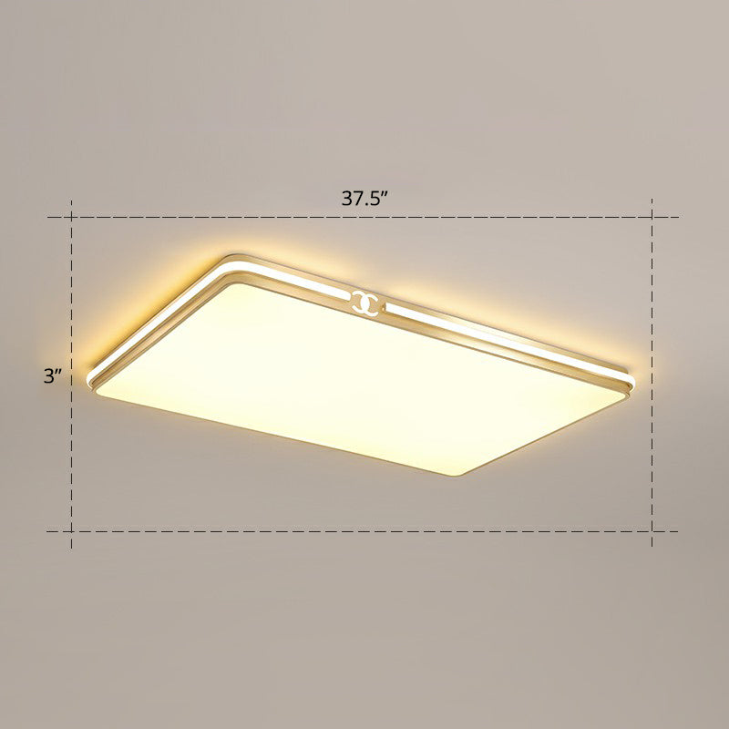 Contemporary Gold Finish LED Flush Mount Ceiling Light - Acrylic Rectangle Design