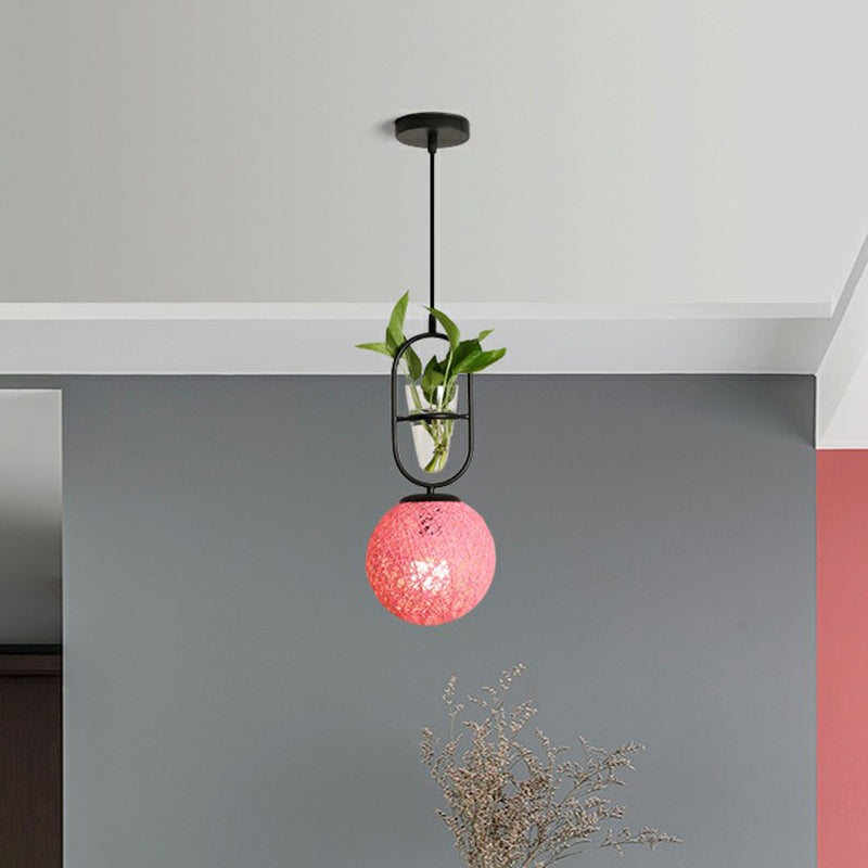 Spherical Pendulum Rattan Hanging Lamp With Glass Cone Plant Container - Single Bulb Peach