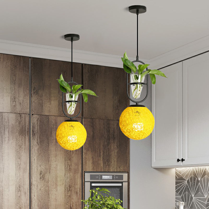 Spherical Pendulum Rattan Hanging Lamp With Glass Cone Plant Container - Single Bulb Yellow