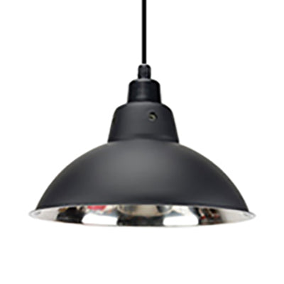 Plafonnier industriel en acier inoxydable de type dôme - Largeur de 13"/16,5", 1 tête, noir/gris