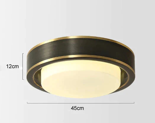 Simple Modern Black Copper Ceiling Lamp – Sleek Design for Living Rooms