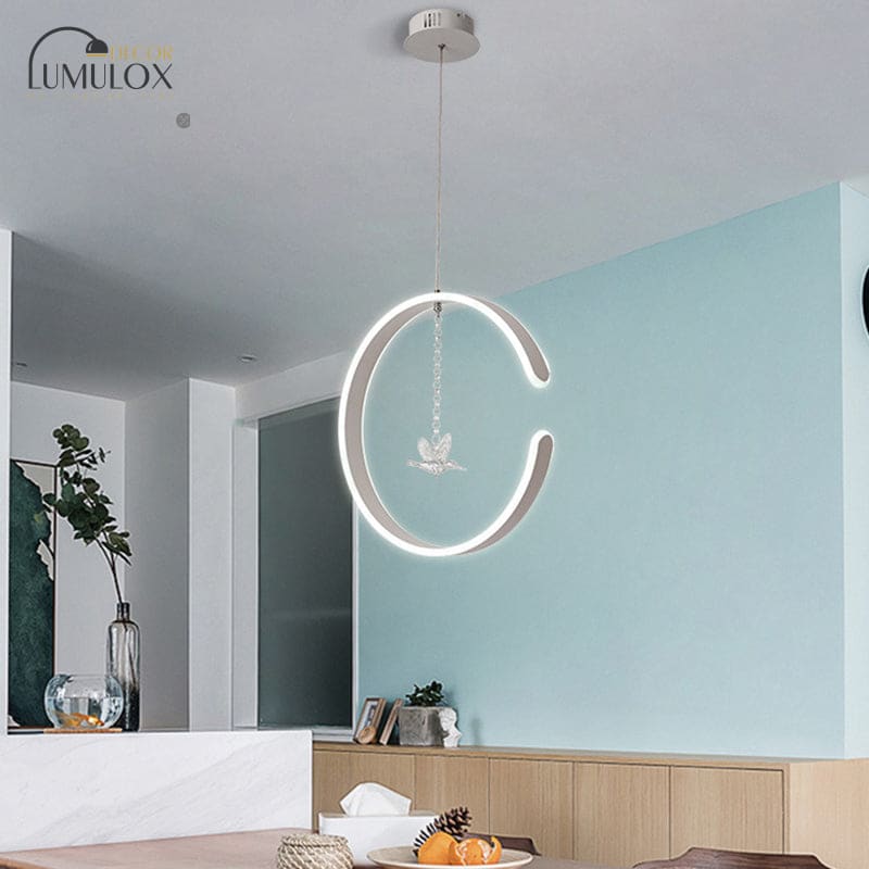 Acrylic Ring Pendant Lamp – Minimalist LED Hanging Light in White or Black
