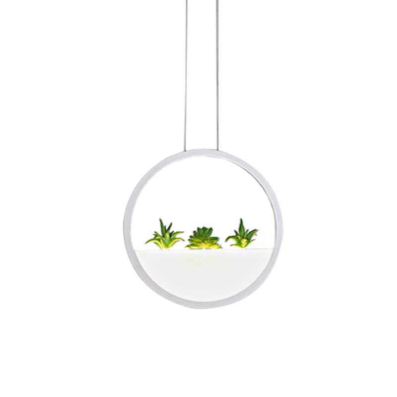Modern LED Circular Bedside Pendant Ceiling Lamp with Plant Decor and White/Warm Light