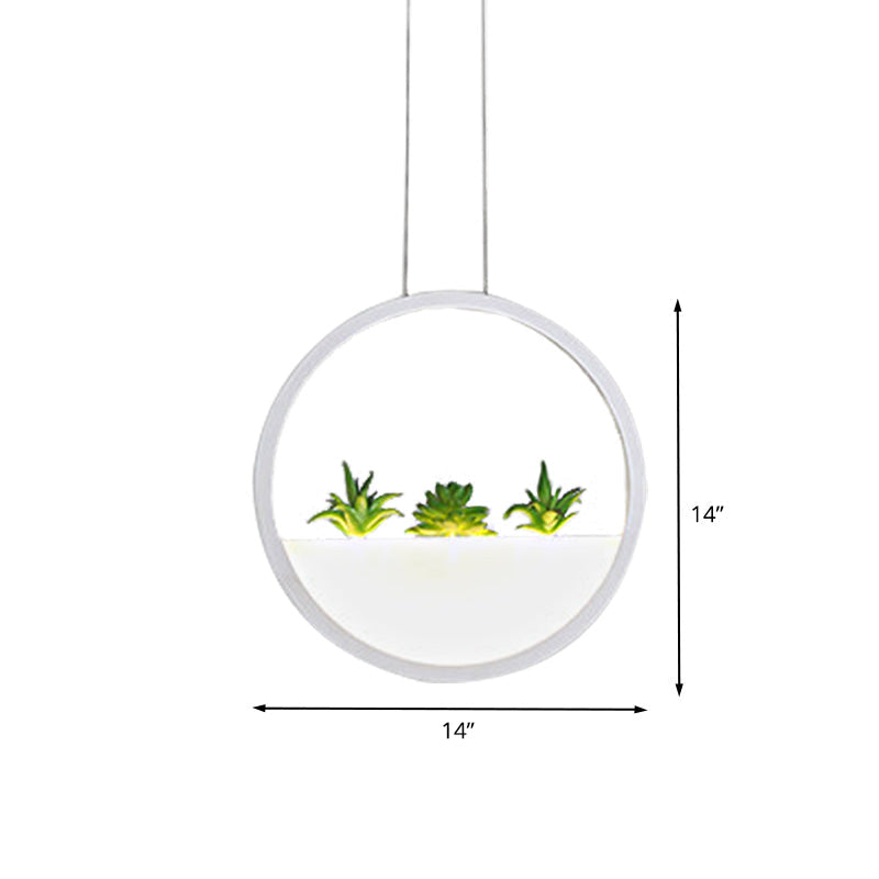 Modern LED Circular Bedside Pendant Ceiling Lamp with Plant Decor and White/Warm Light