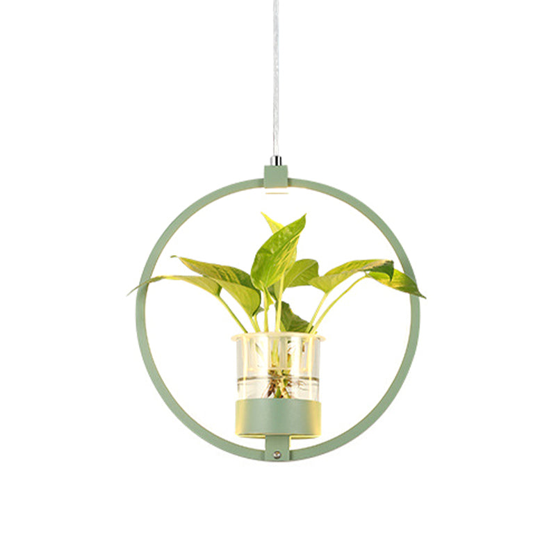 Vintage Metal Led Pendant Light For Restaurants - Black/Grey/White Circle Hang Fixture With 1 Bulb