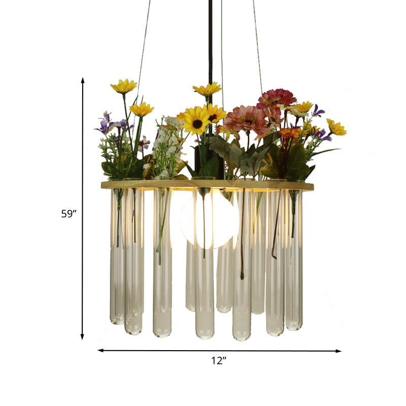 Plafonnier tubulaire beige Loft en verre transparent avec cercle en bois - 12"/19,5" L - 1 tête de suspension pour plantes