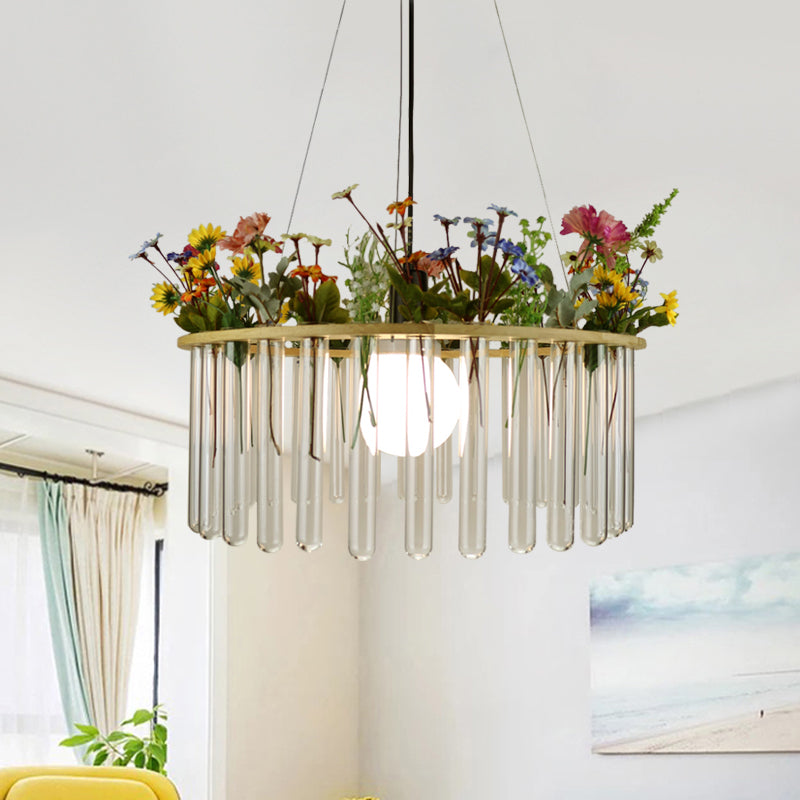 Plafonnier tubulaire beige Loft en verre transparent avec cercle en bois - 12"/19,5" L - 1 tête de suspension pour plantes