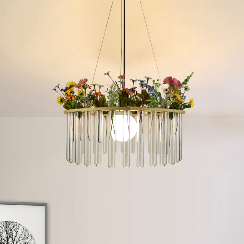 Plafonnier tubulaire beige Loft en verre transparent avec cercle en bois - 12"/19,5" L - 1 tête de suspension pour plantes