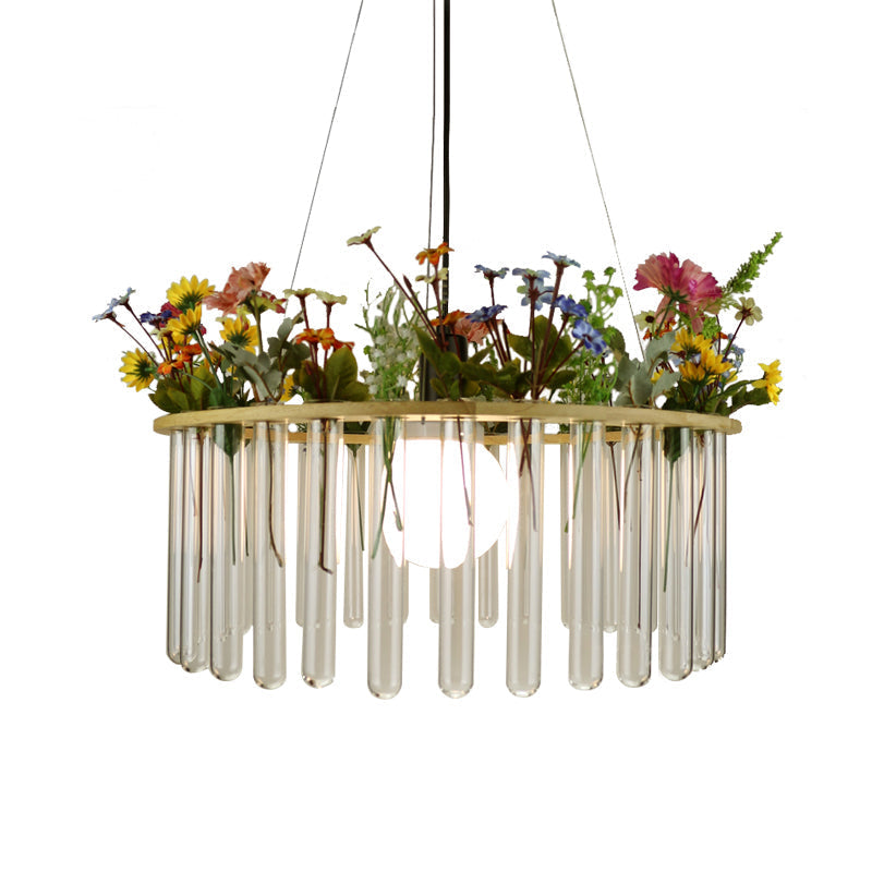 Plafonnier tubulaire beige Loft en verre transparent avec cercle en bois - 12"/19,5" L - 1 tête de suspension pour plantes