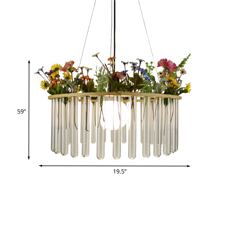Plafonnier tubulaire beige Loft en verre transparent avec cercle en bois - 12"/19,5" L - 1 tête de suspension pour plantes