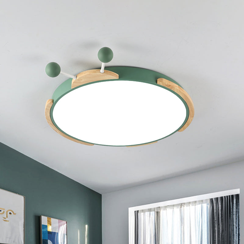 Insect Cartoon Ceiling Lamp with LED Flushmount Lighting in Warm/White Light - Gray/Green