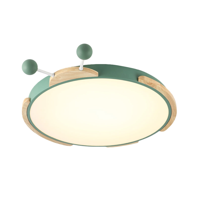 Insect Cartoon Ceiling Lamp with LED Flushmount Lighting in Warm/White Light - Gray/Green