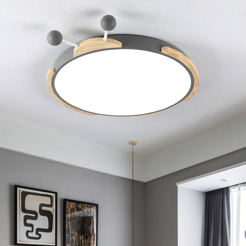Insect Cartoon Ceiling Lamp with LED Flushmount Lighting in Warm/White Light - Gray/Green