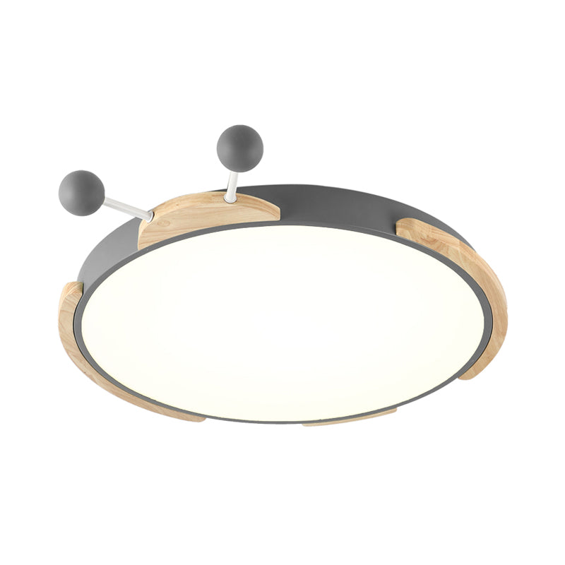 Insect Cartoon Ceiling Lamp with LED Flushmount Lighting in Warm/White Light - Gray/Green