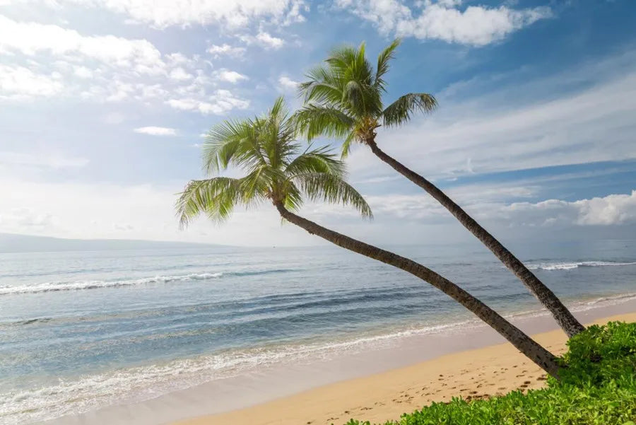 Jaylani Coast Waves Sky Ocean Hawaii Palma Sand Nature Wallpaper