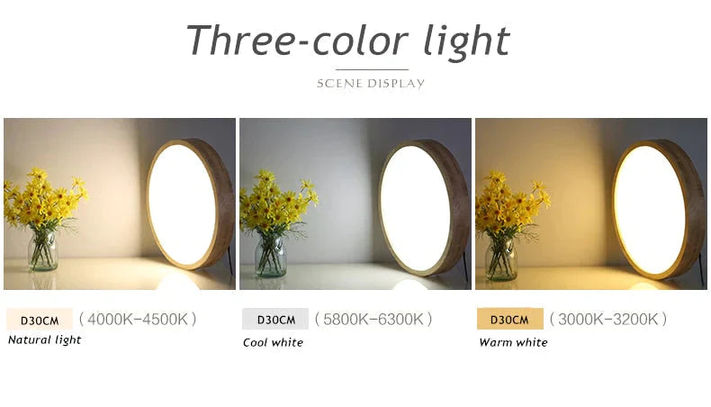 Helena- Plafonnier LED Moderne Lampe Panneau Salon Luminaire Rond Télécommande