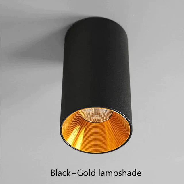 LED Ceiling light 8*15cm Mounting Surface ceiling lamp 10W Cylinder for Foyer/Balcony/Corridor/Bedroom/Restaurant