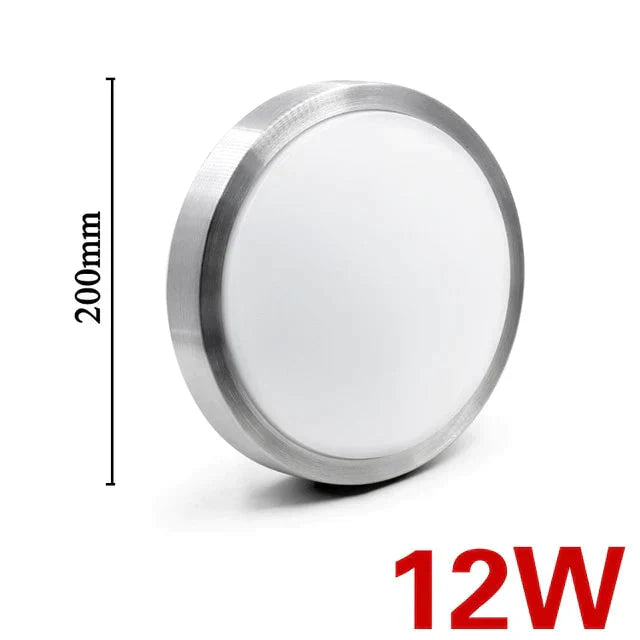 High brightness LED Ceiling lights LED Chip 12W 18W 24W 36W 45W LED Ceiling Lamp